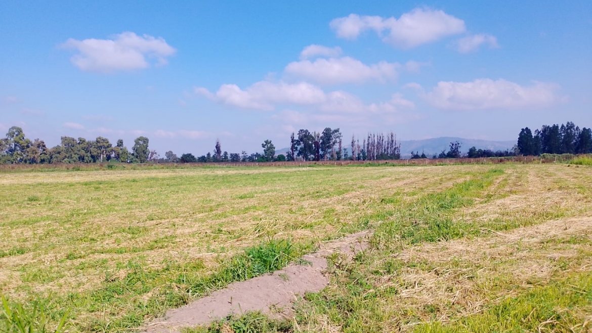 Terreno Codigua / San Rafael