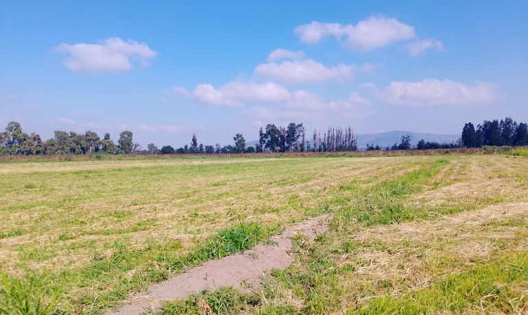 Terreno Codigua / San Rafael
