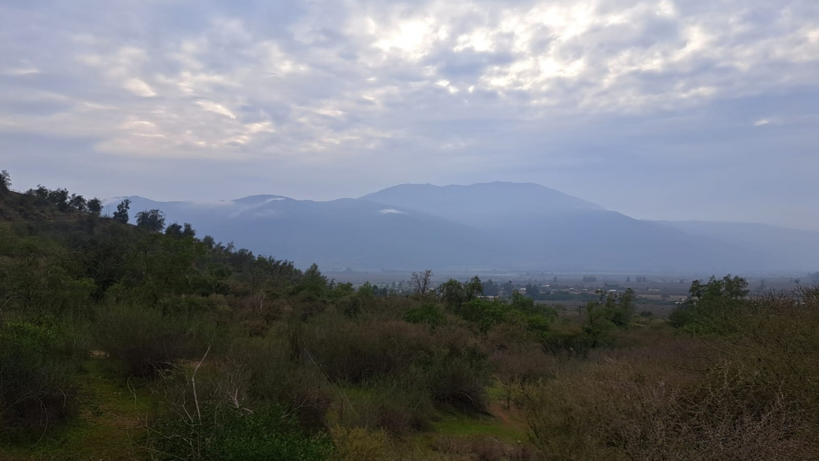 Vende Parcelas Sector Manantiales
