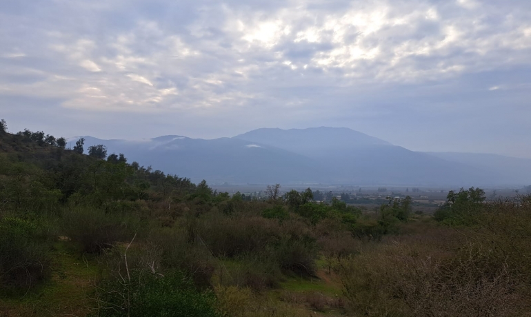 Vende Parcelas Sector Manantiales